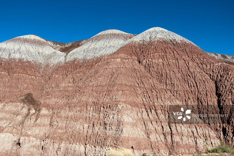 树化石国家公园地理风貌图片素材