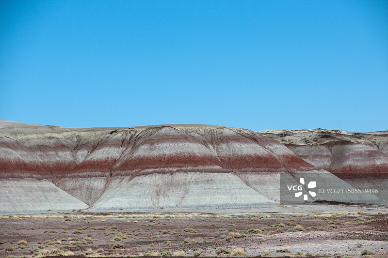 树化石国家公园地理风貌图片素材