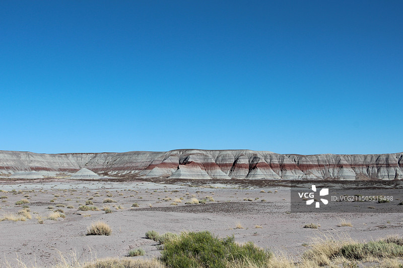 树化石国家公园地理风貌图片素材