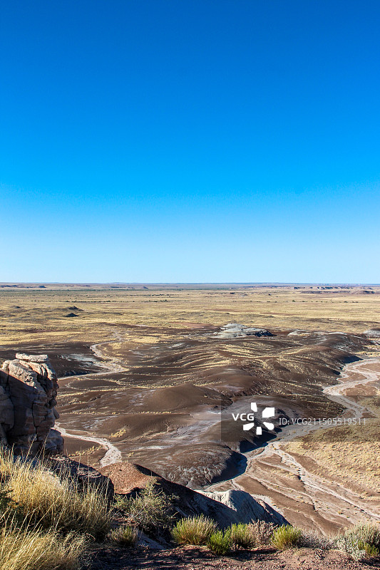 树化石国家公园地理风貌图片素材