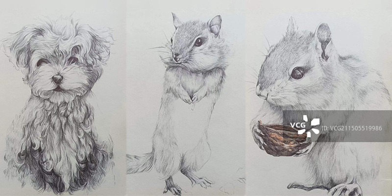 写实手绘树图片素材