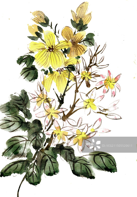 黄色的花朵图片素材