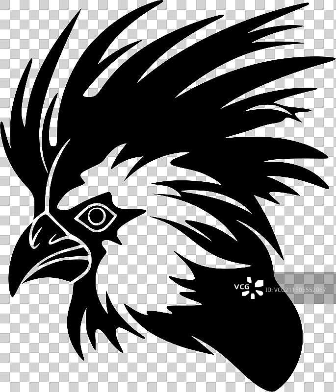 黑白鹦鹉图片素材