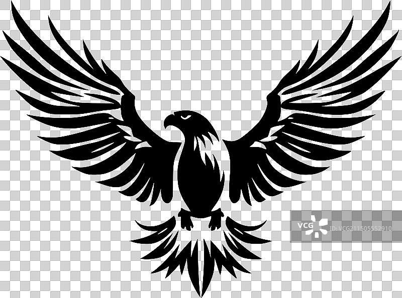 鹰-高品质的标志-理想的t恤图片素材