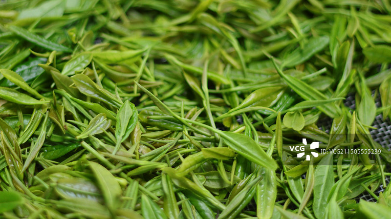 炒制茶叶图片素材