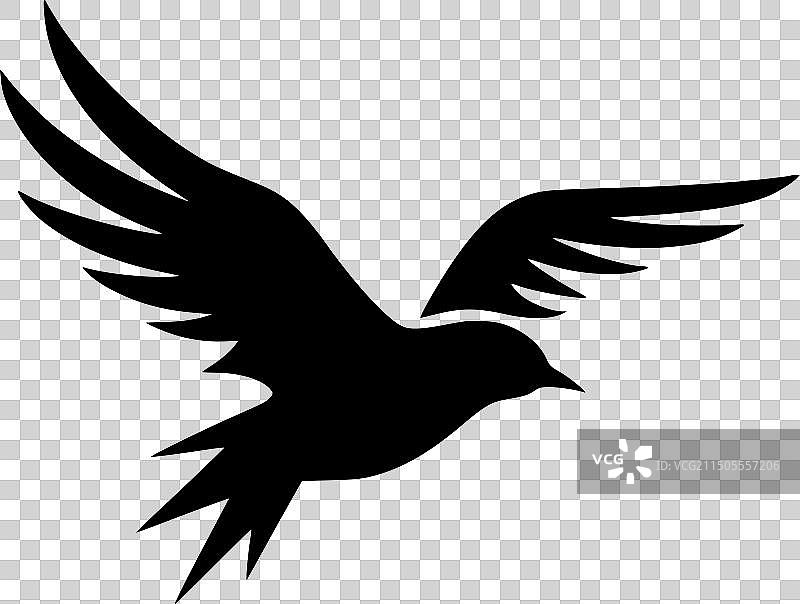 海燕-简约扁平风格logo图片素材