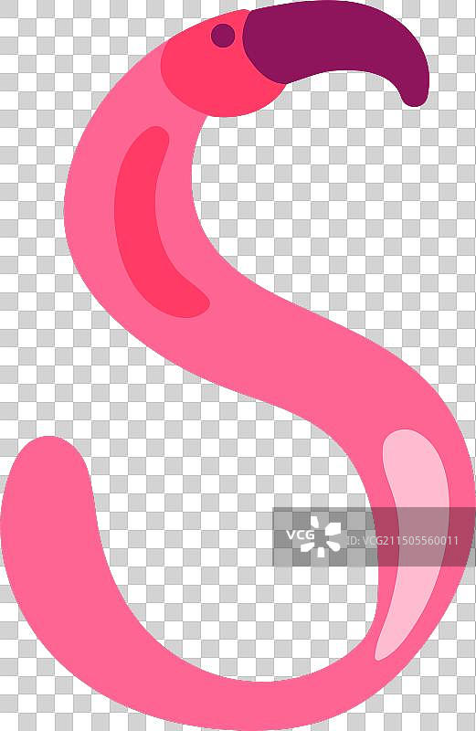 火烈鸟粉色鸟状英文字母S图片素材