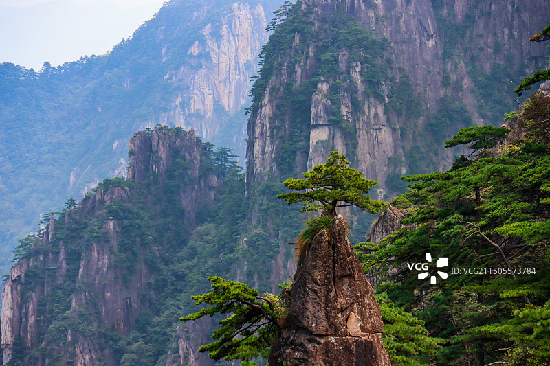 黄山风景区，妙笔生花图片素材