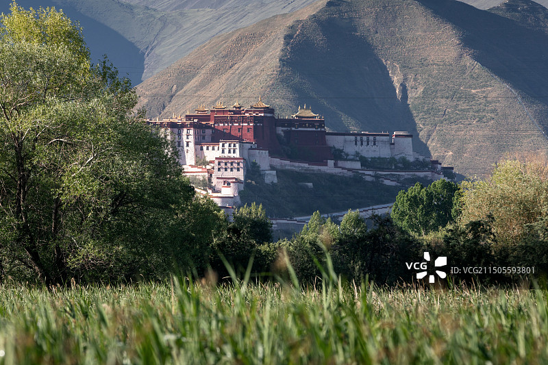 西藏拉萨布达拉宫景色图片素材