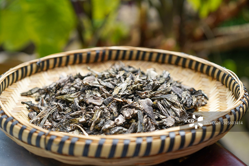 云南野生菌干巴菌图片素材