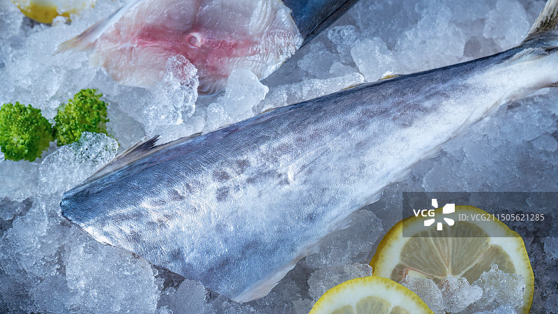 放在冰块上的冷冻鱼图片素材