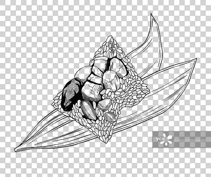 烧肉粽线稿泉州美食手绘元素图片素材