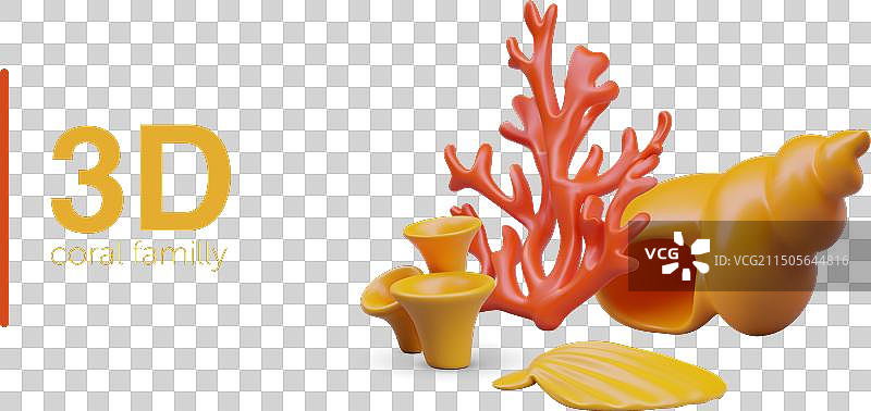 珊瑚色家庭，3D珊瑚和贝壳图片素材
