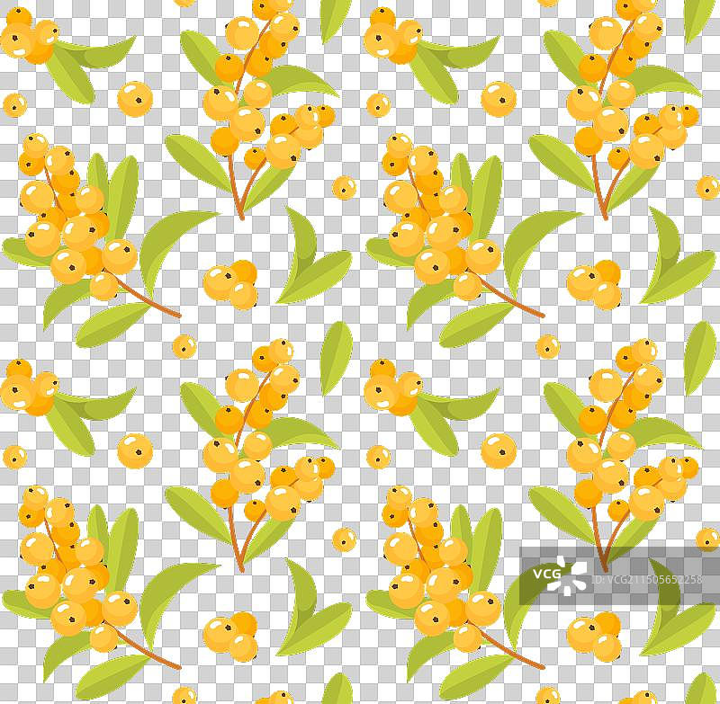 沙棘无缝图案图片素材