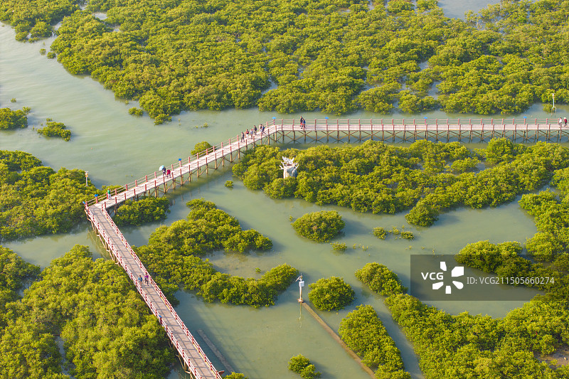 北海金海湾红树林生态旅游区图片素材