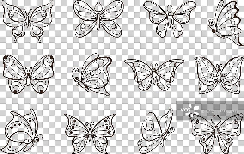 线性图案蝴蝶飞行昆虫图片素材