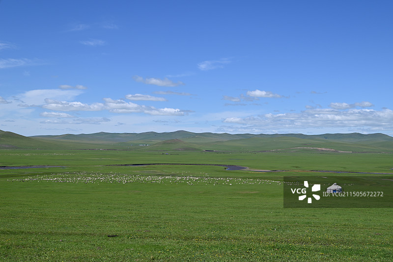 草原上的羊群与蒙古包图片素材