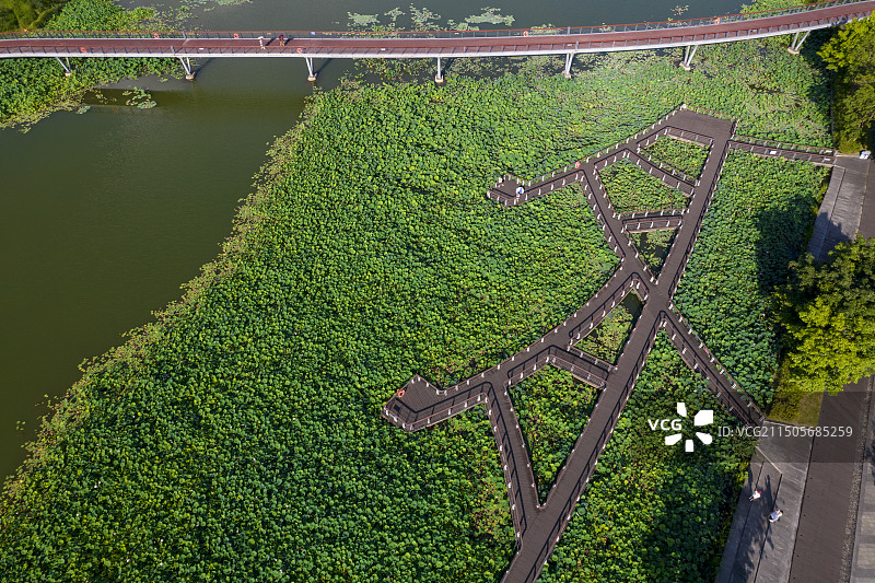 遂宁世界荷花博览园图片素材