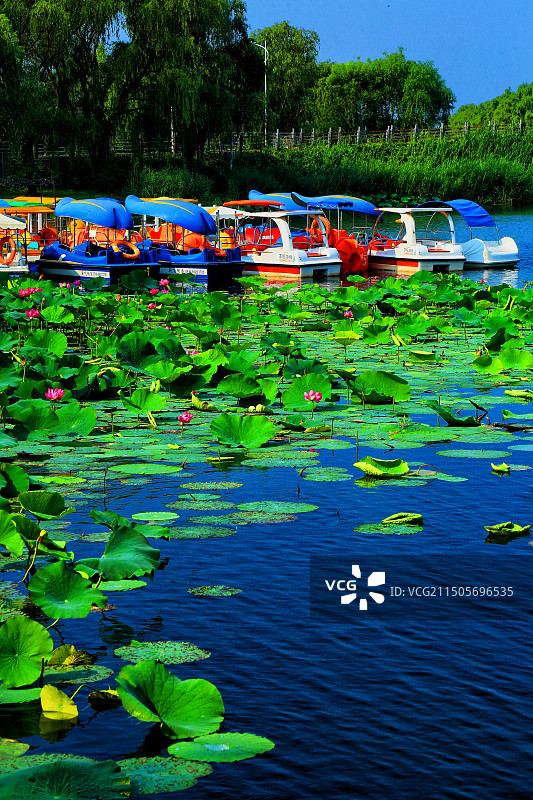 雄安新区雄县温泉城图片素材