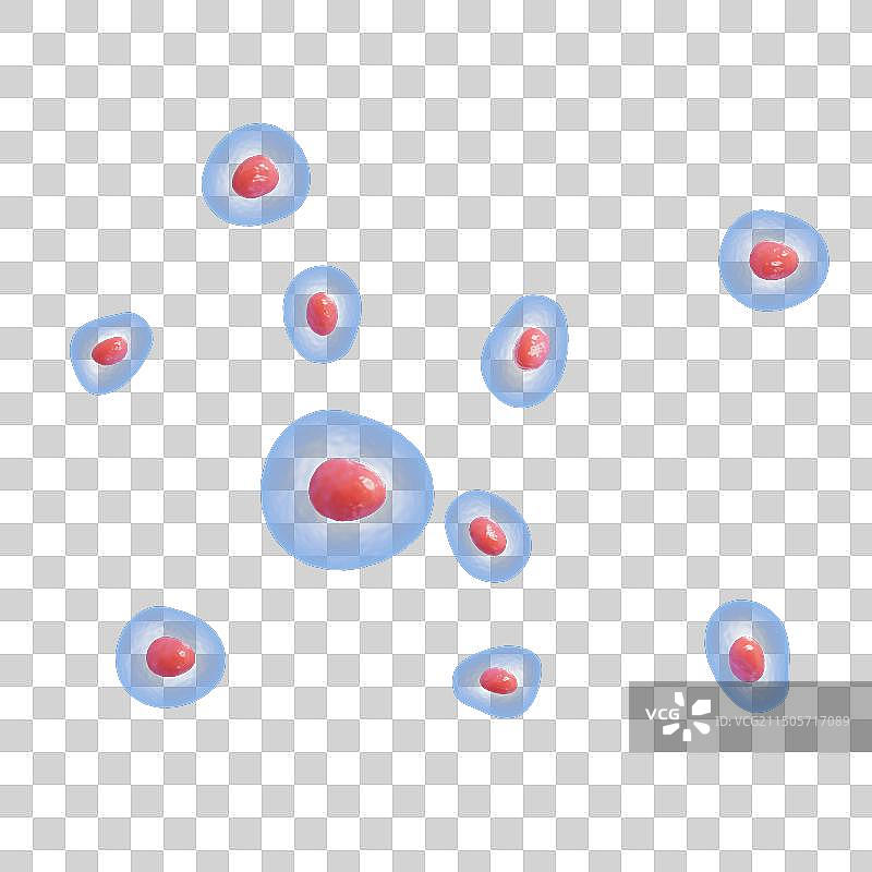 生物细胞免抠元素图图片素材