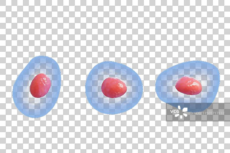 生物细胞免抠元素图图片素材