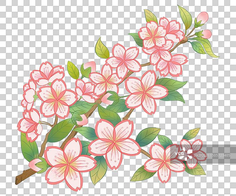 桃花图片素材