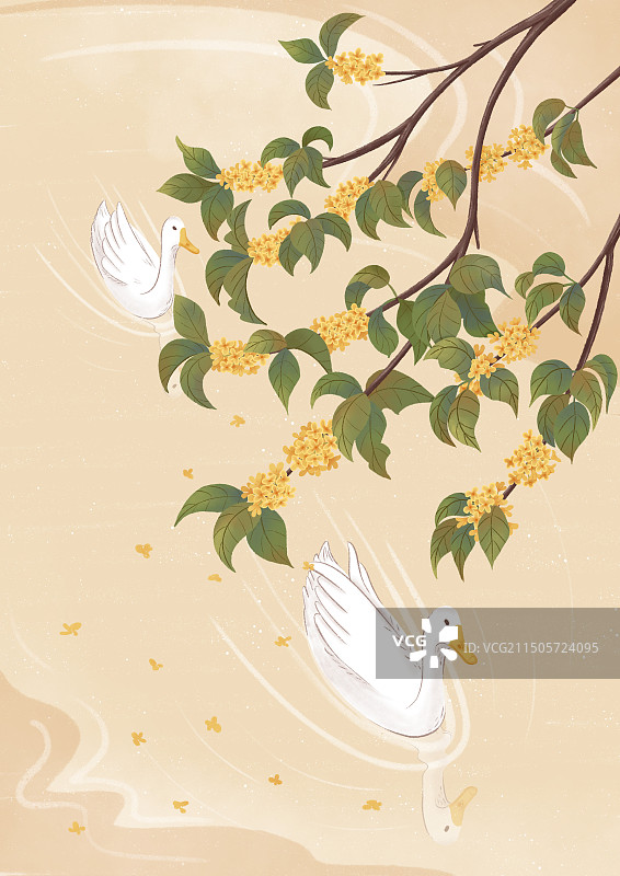 桂花树下有两只鸭子图片素材