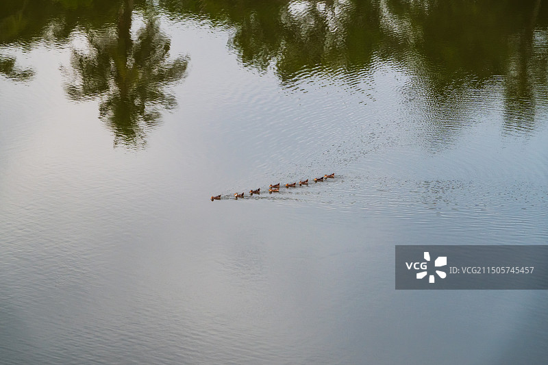 “水泥森林”中的田园，美俗村图片素材