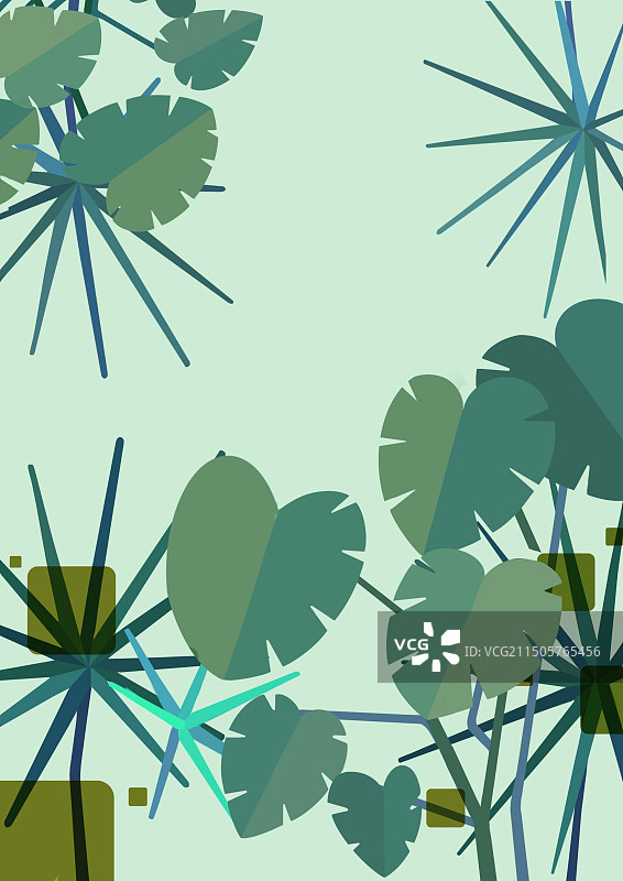 龟背竹绿植插画图片素材