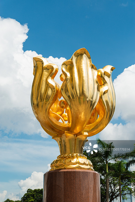 香港金紫荆铜像特写，湾仔旅游景点雕塑图片素材