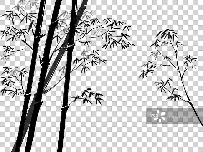 中国风水墨写意植物竹子墨竹元素图片素材