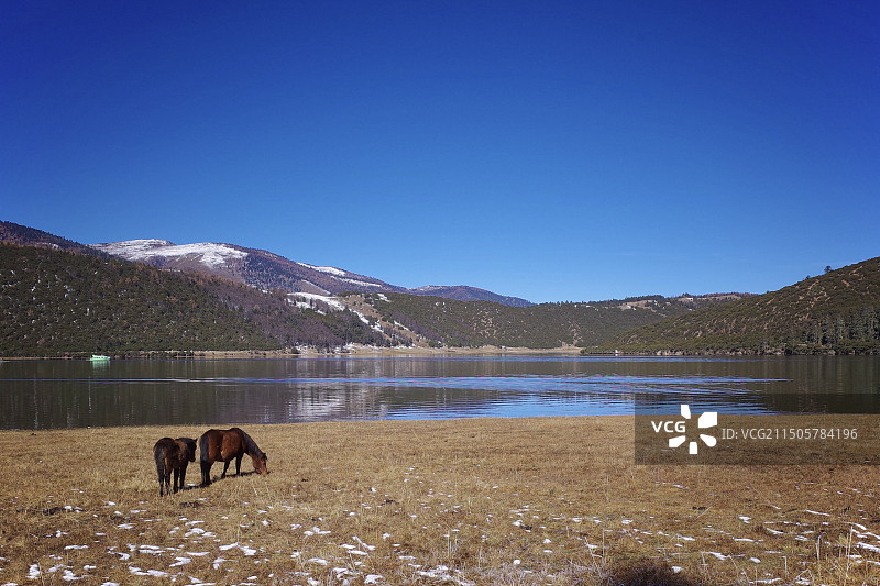 普达措的湖光山色图片素材