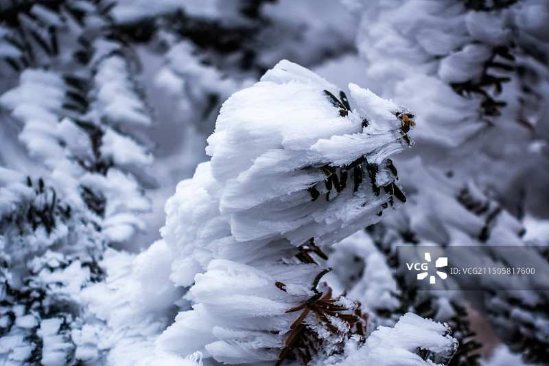冬季雪景雾凇图片素材