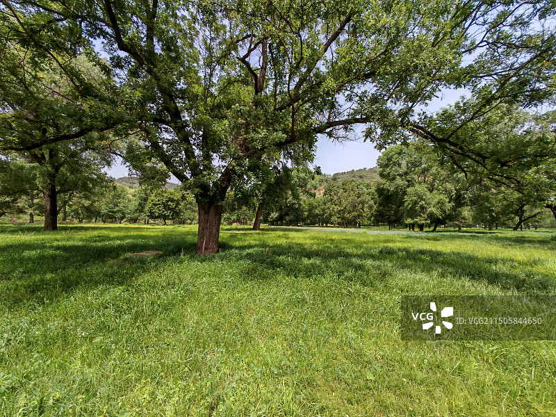 承德避暑山庄平原区图片素材