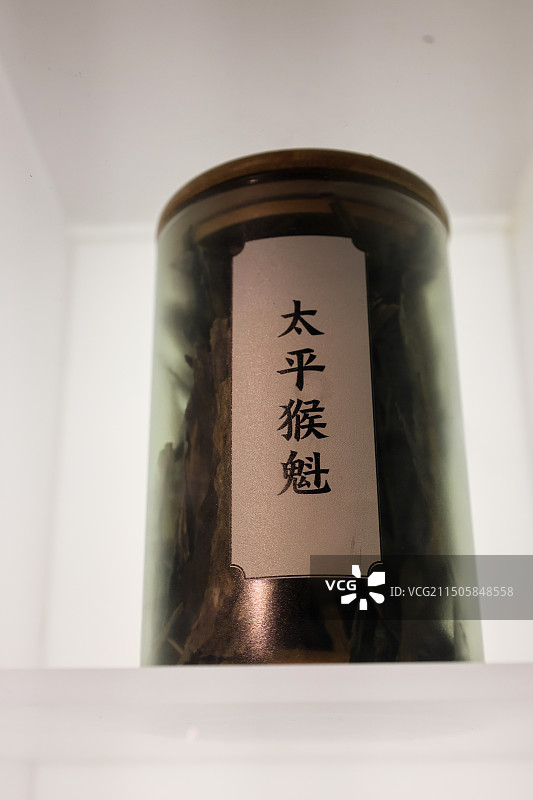 大红袍龙井等名茶组图 茶和天下 典籍里的茶国家典籍博物馆图片素材