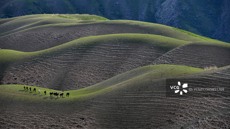 喀拉峻｜人体草原图片素材