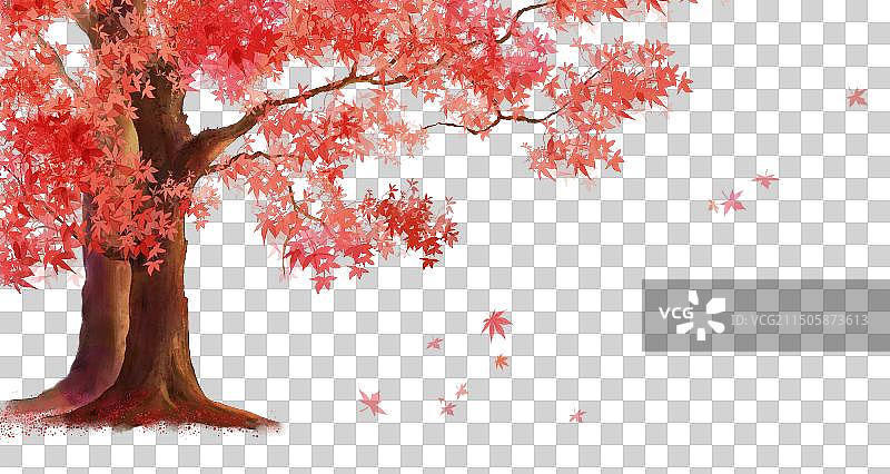 秋天的红叶树素材图片素材