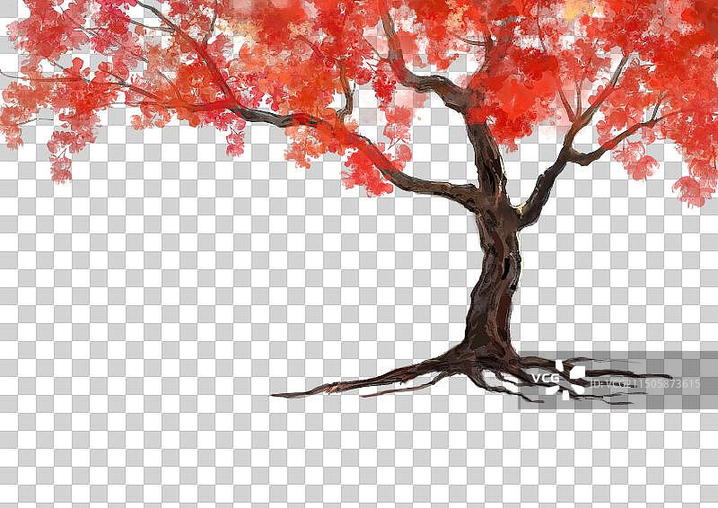 秋天的红叶树素材图片素材