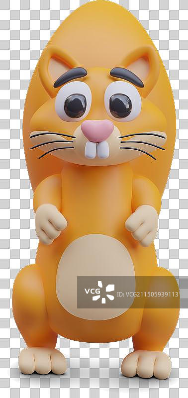 松鼠野生动物概念正面图图片素材