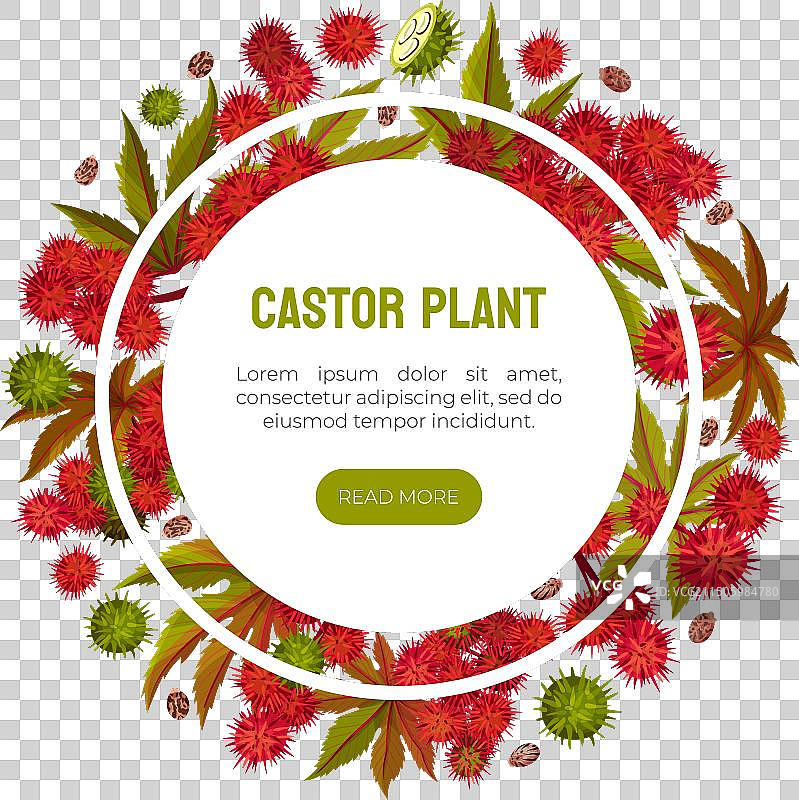 蓖麻植物叶子banner设计图片素材