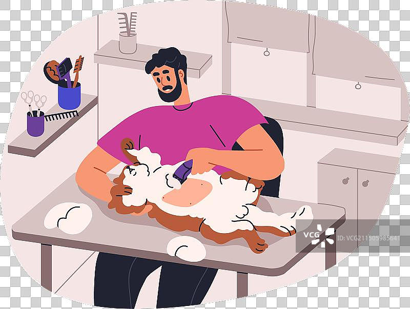 宠物美容师给猫咪剃毛图片素材