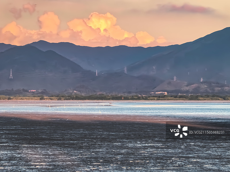 深圳湾公园海边滩涂景色图片素材