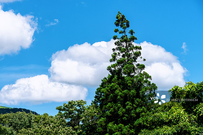熊本县 阿苏市自然风光图片素材