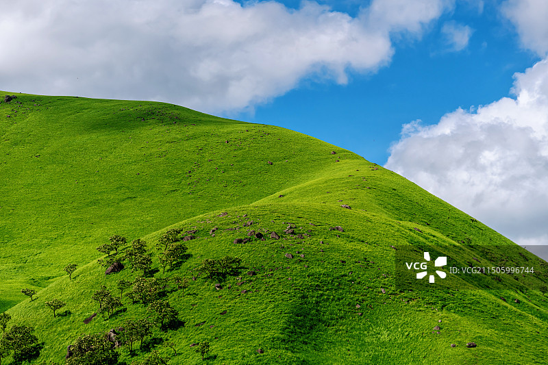 大分县 由布市 自然风光图片素材