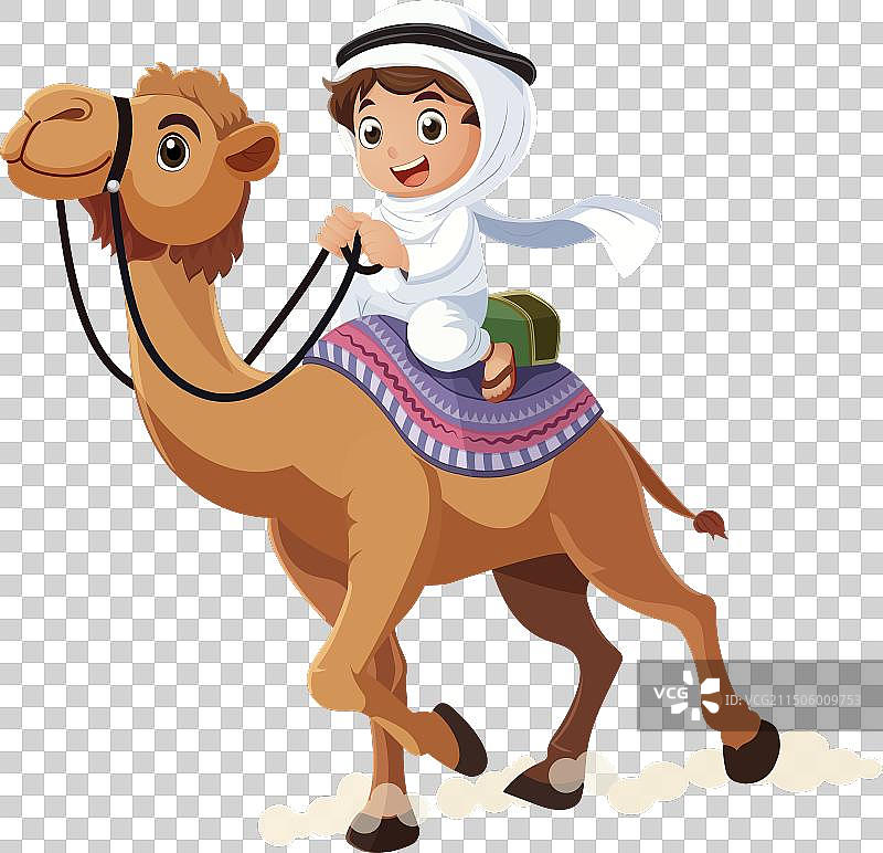 骑在骆驼上的阿拉伯儿童图片素材