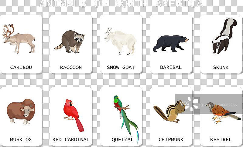 北美动物雪景合集图片素材