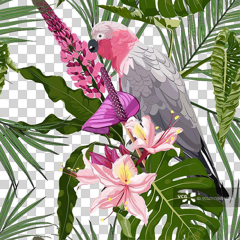 带有鹦鹉和花朵的热带异域图案图片素材