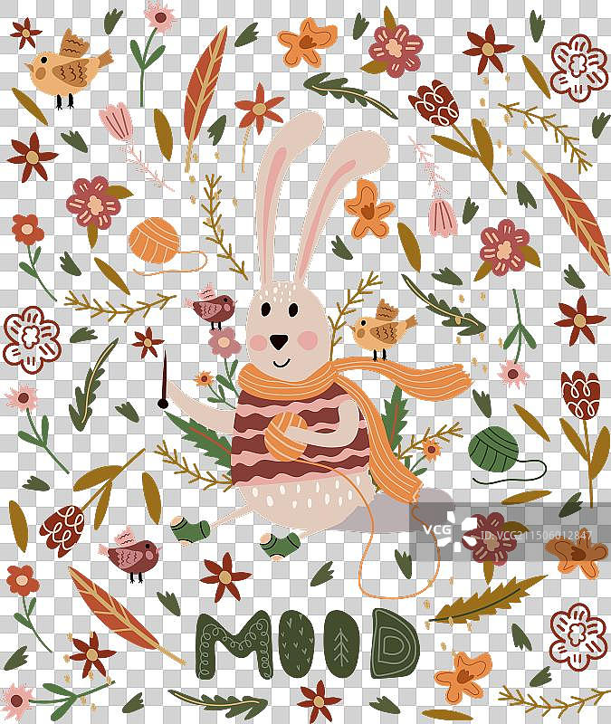 戴围巾的时尚滑稽兔子图片素材