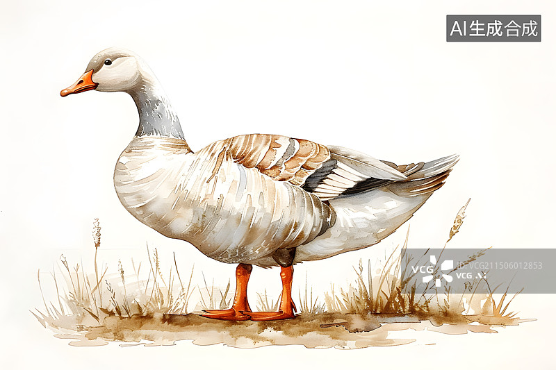 【AI数字艺术】水彩卡通插画一只大鹅图片素材