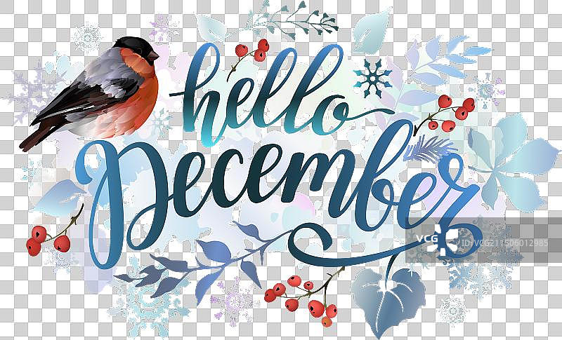 你好十二月banner与红腹灰雀树叶图片素材